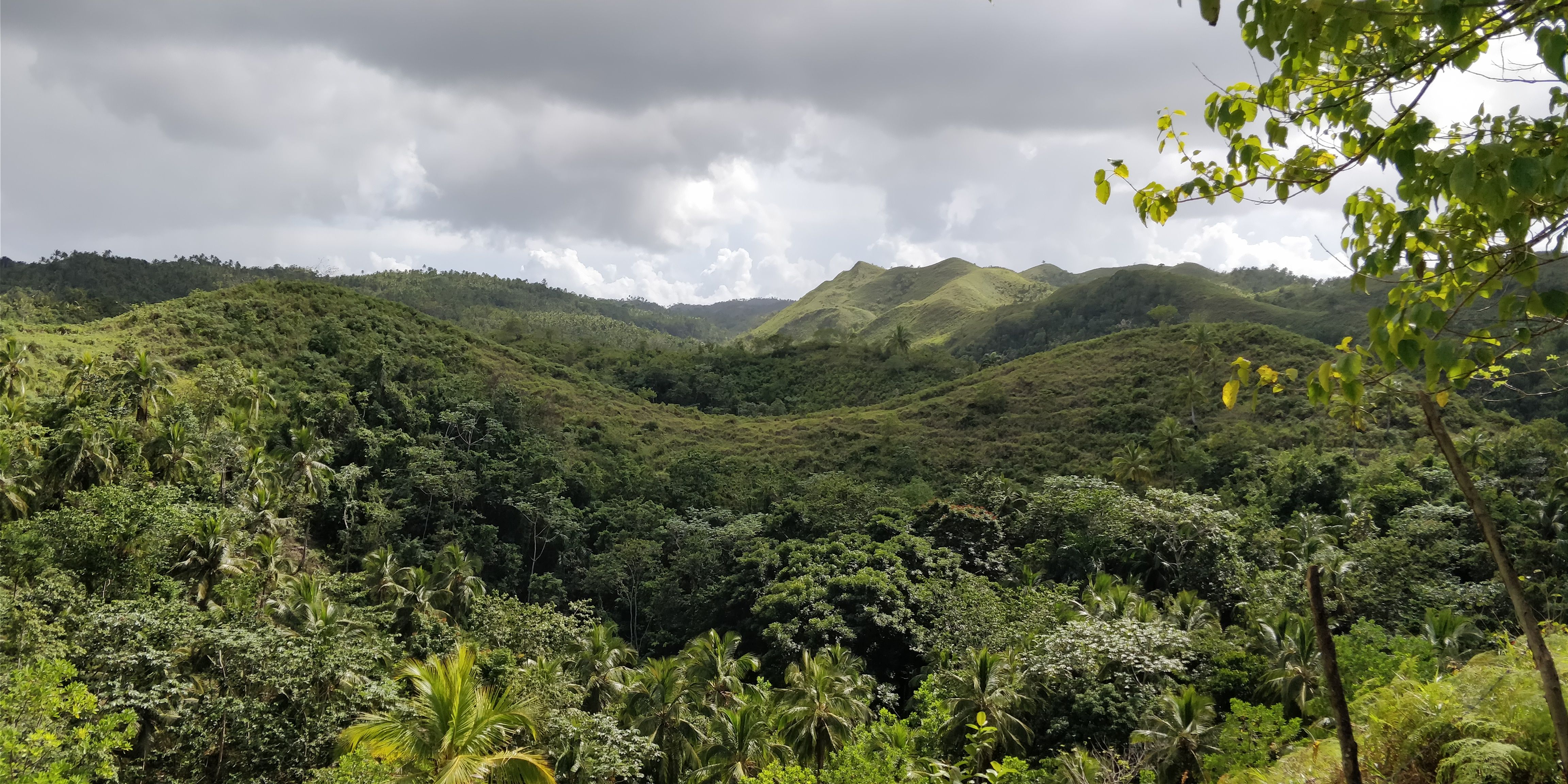 Dominican Republic - El Limón