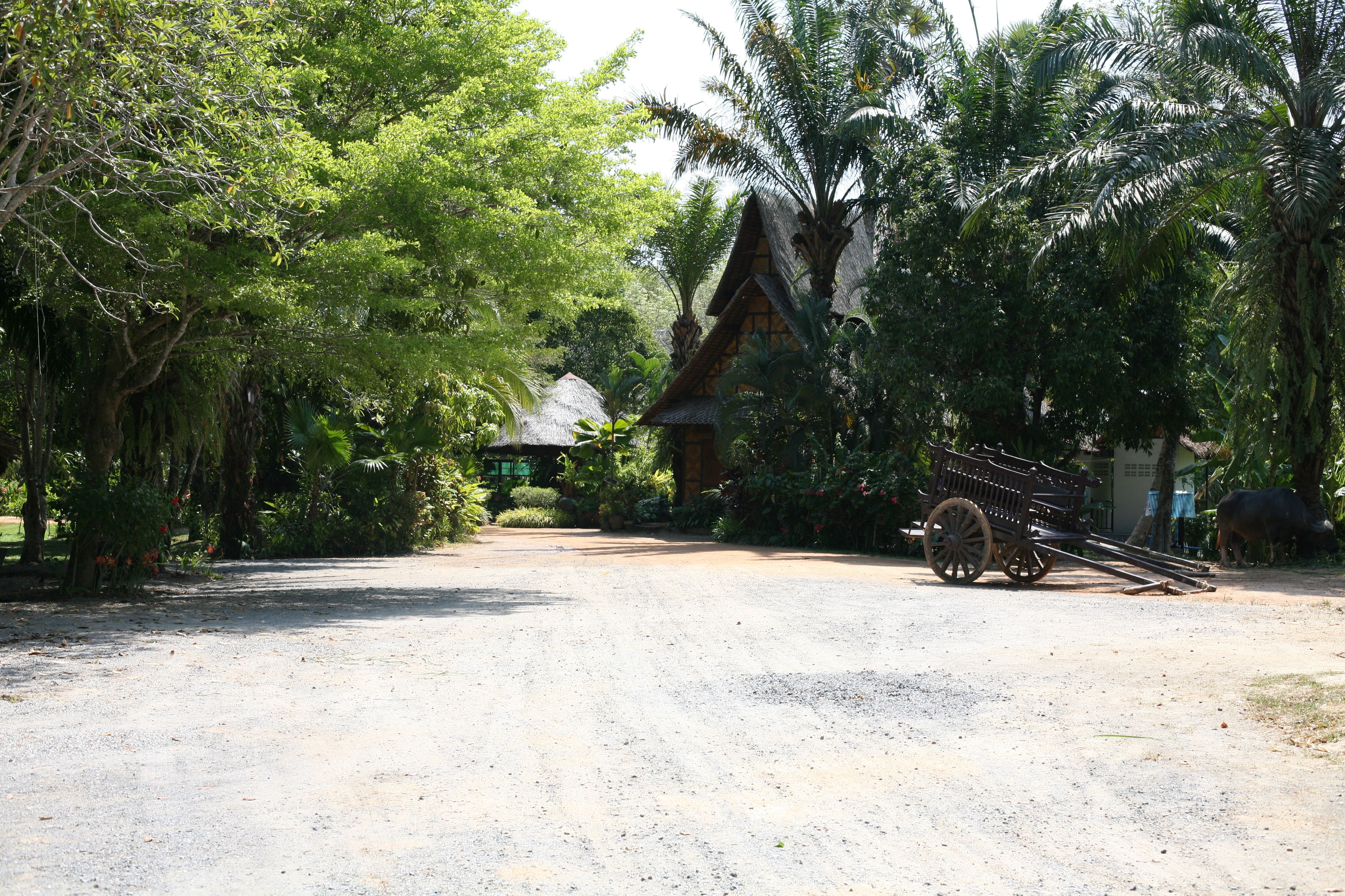 Thailand - Old Phuket Farm